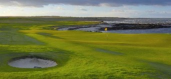 Crail Balcomie links Moss