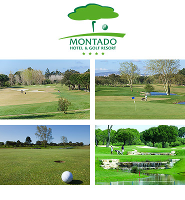MontadoLGC
